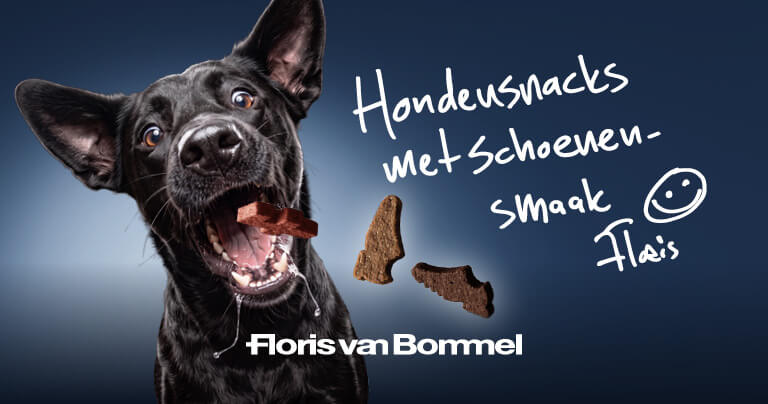 Floris van Bommel maakt eindelijk schoenen die honden wél mogen opeten
